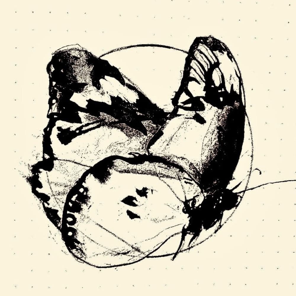 BTTRFLY QUINTET