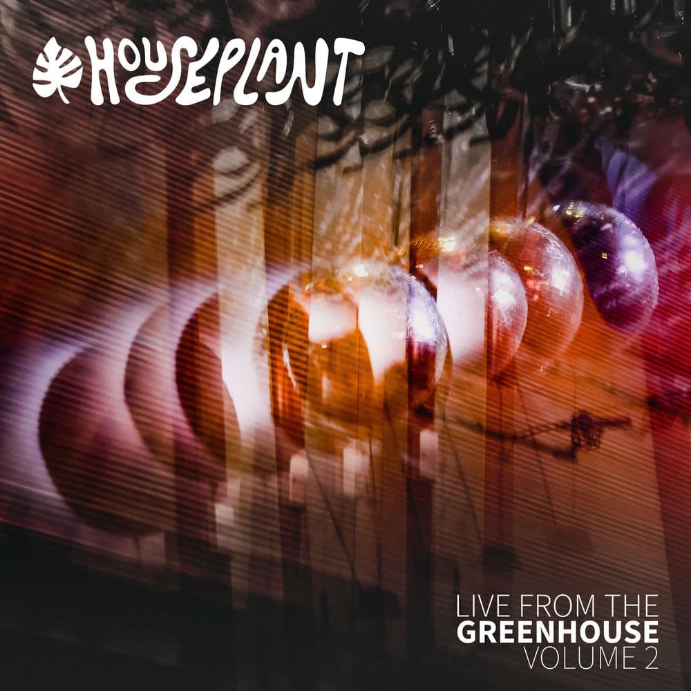 Houseplant