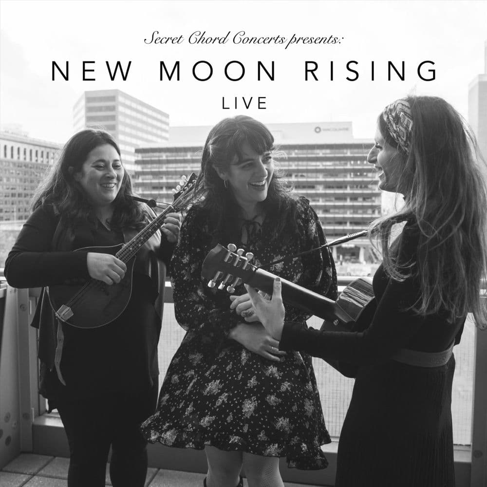 New Moon Rising