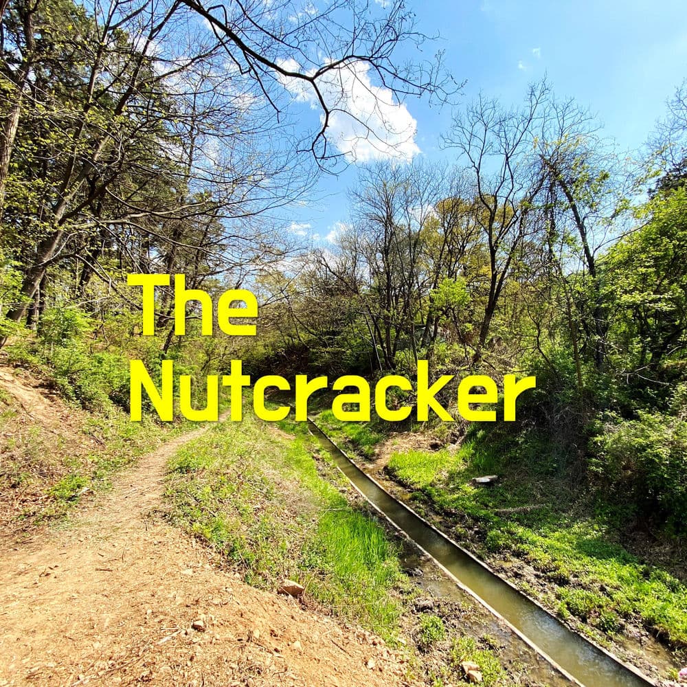 The Nutcracker