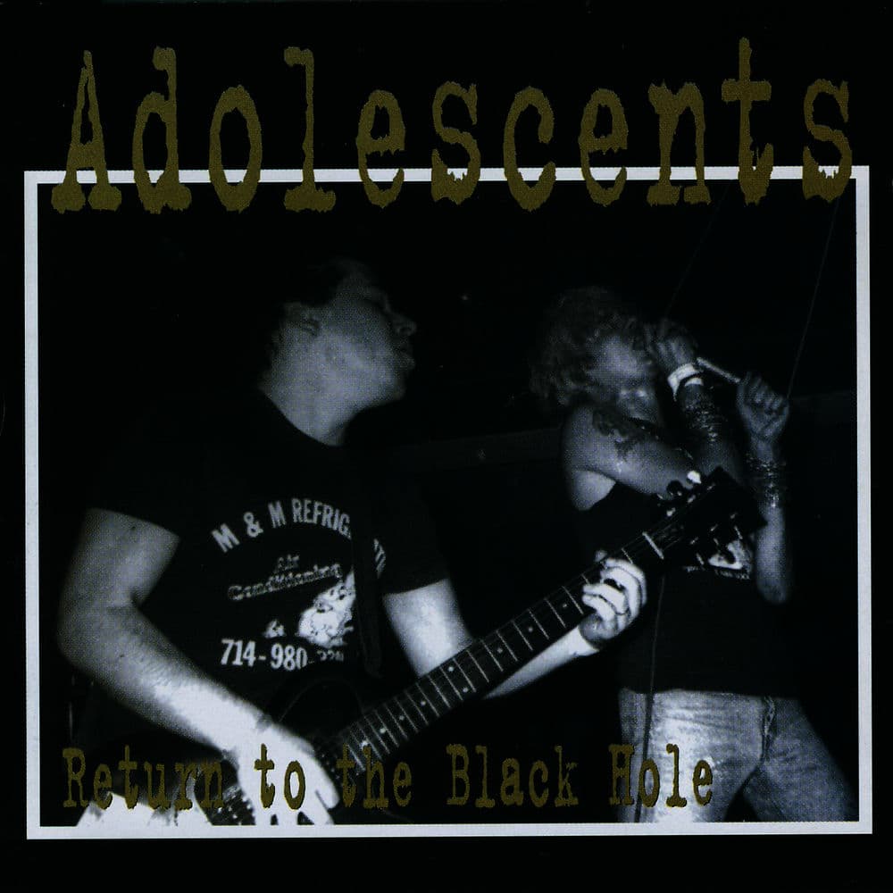 The Adolescents
