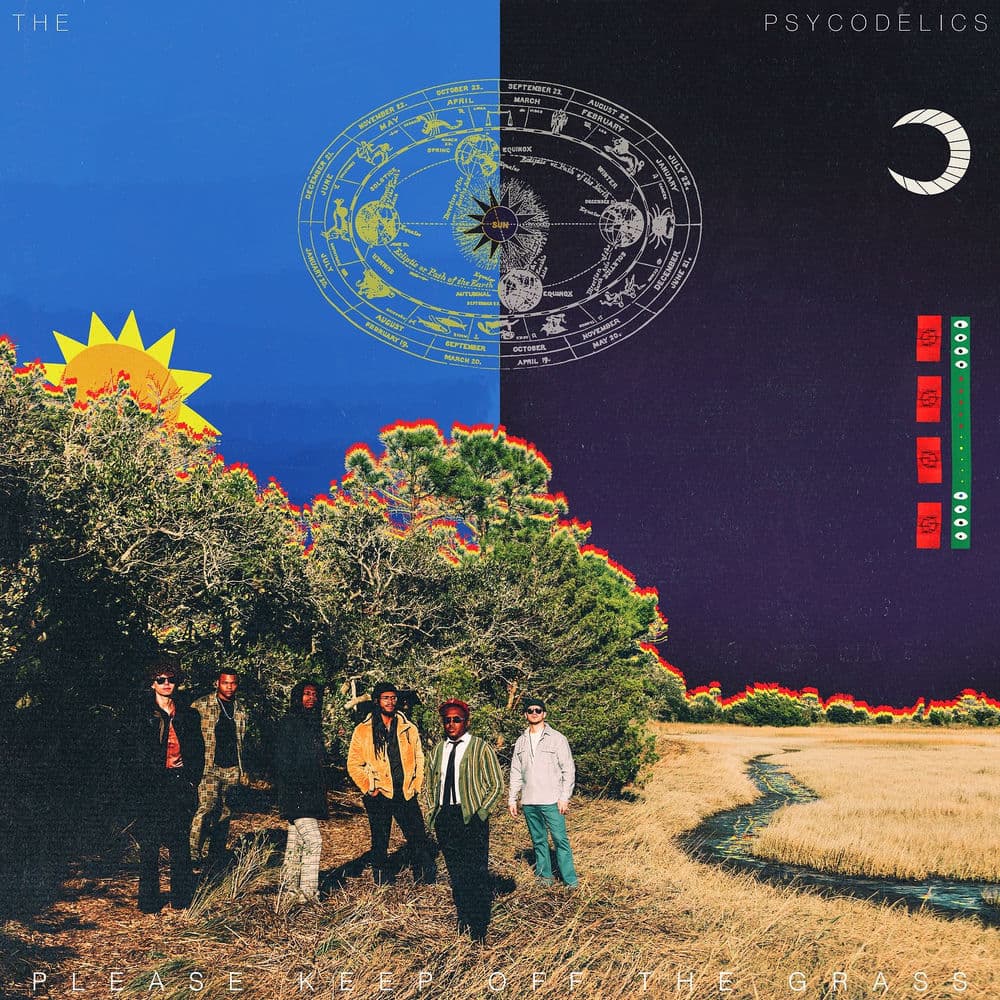 The Psycodelics