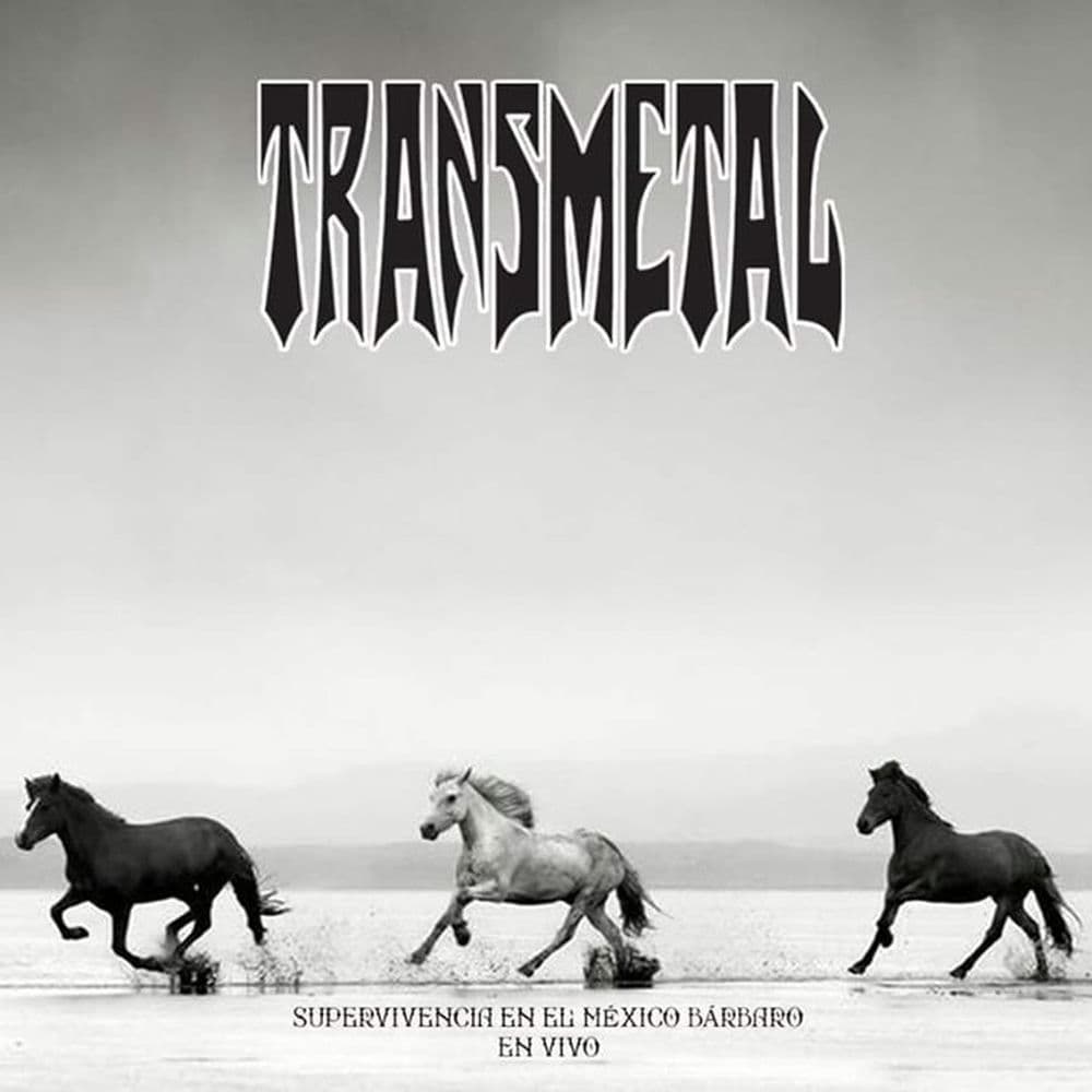 Transmetal