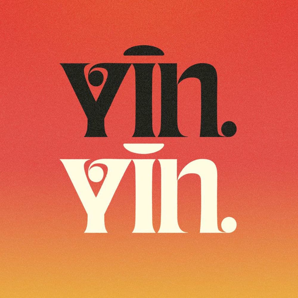 YIN YIN