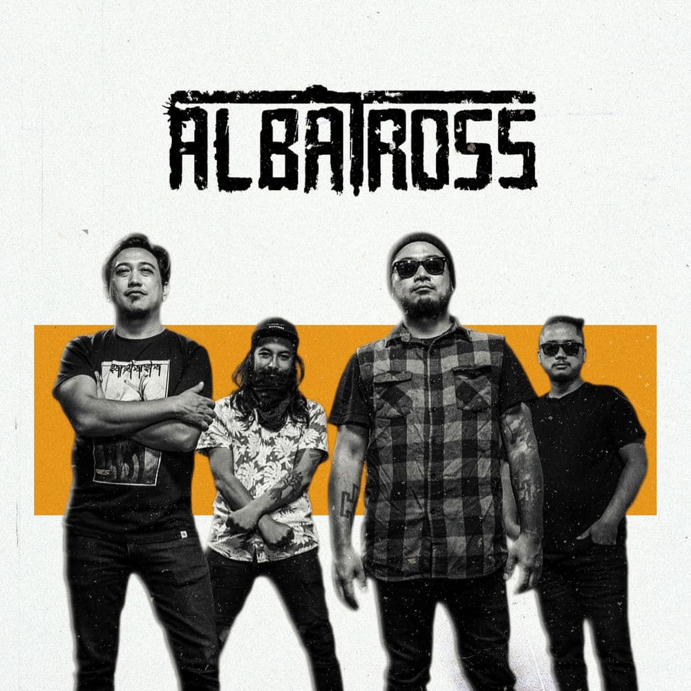 Albatross