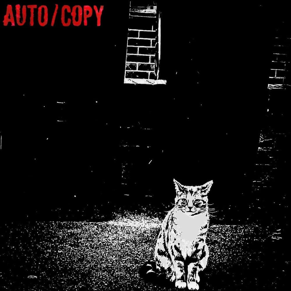 Autocopy