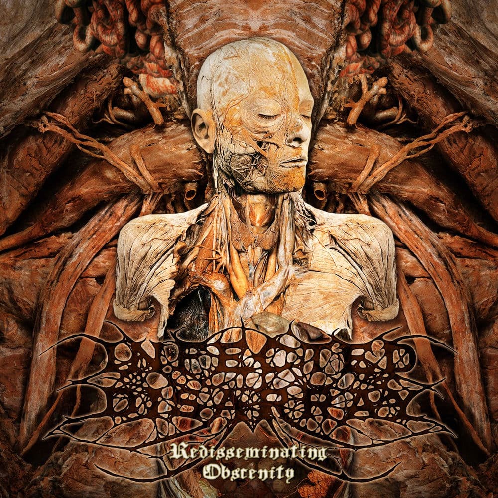 Infected Disarray