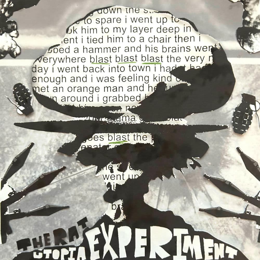 The Rat Utopia Experiment